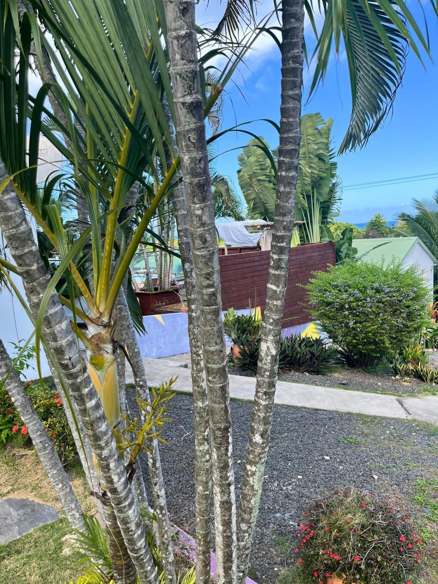 Appartamento Les Algues De La Chapelle Anse-Bertrand Esterno foto